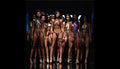 Model Casting Form